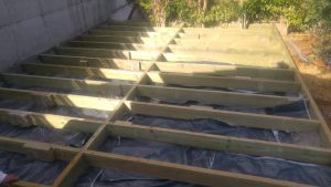 20161102_084032 (Medium)